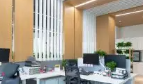 为什么选择91香蕉APP下载安装下载免费公司进行网络营销和形象宣传？